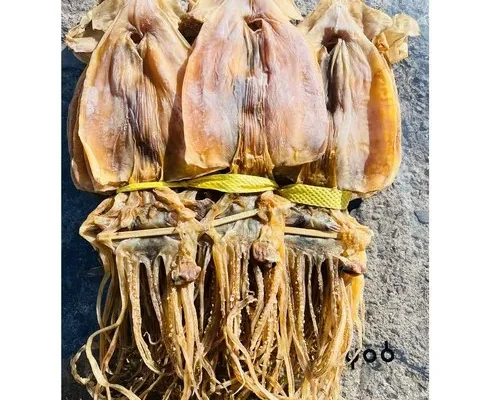 정말 맛있는 구룡포 마른 오징어 대사이즈 20미 베스트상품