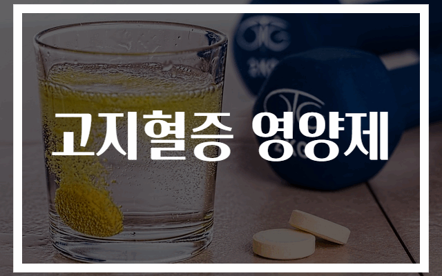 고지혈증 관리에 효과적인 영양제 추천