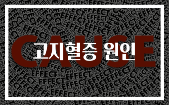고지혈증 원인과 예방법 완벽 가이드