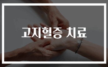 고지혈증 치료법 완벽 가이드 2024