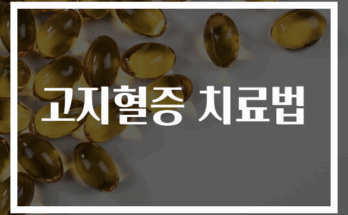 고지혈증 효과적 치료법 총정리 가이드