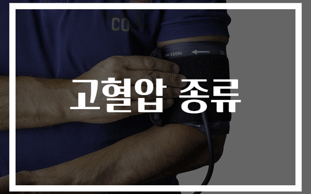 고혈압 종류 완전정복: 원인별 분류와 특징