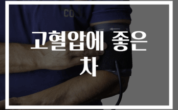 고혈압에 좋은 차 추천 BEST 7가지