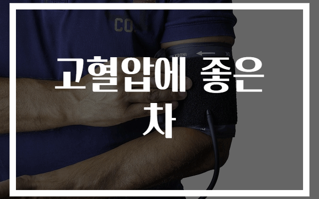 고혈압에 좋은 차 추천 BEST 7가지