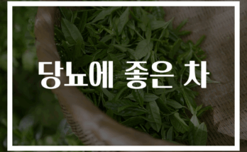 당뇨에 효과적인 건강 차 추천 TOP 5