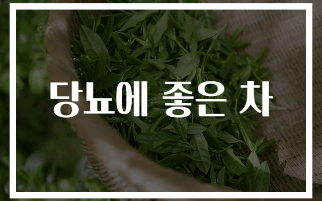 당뇨에 효과적인 건강 차 추천 TOP 5