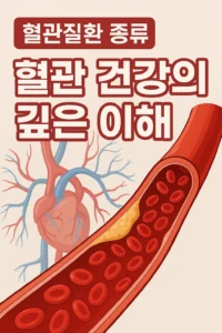 혈관 건강의 깊은 이해