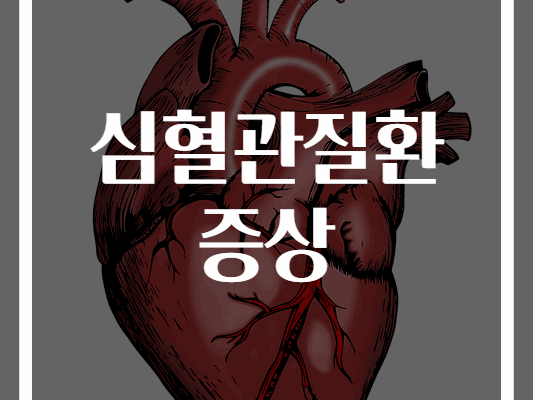 심혈관질환 주요 증상 완벽 가이드