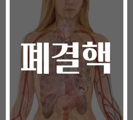 폐결핵 증상 및 치료법 완벽 가이드